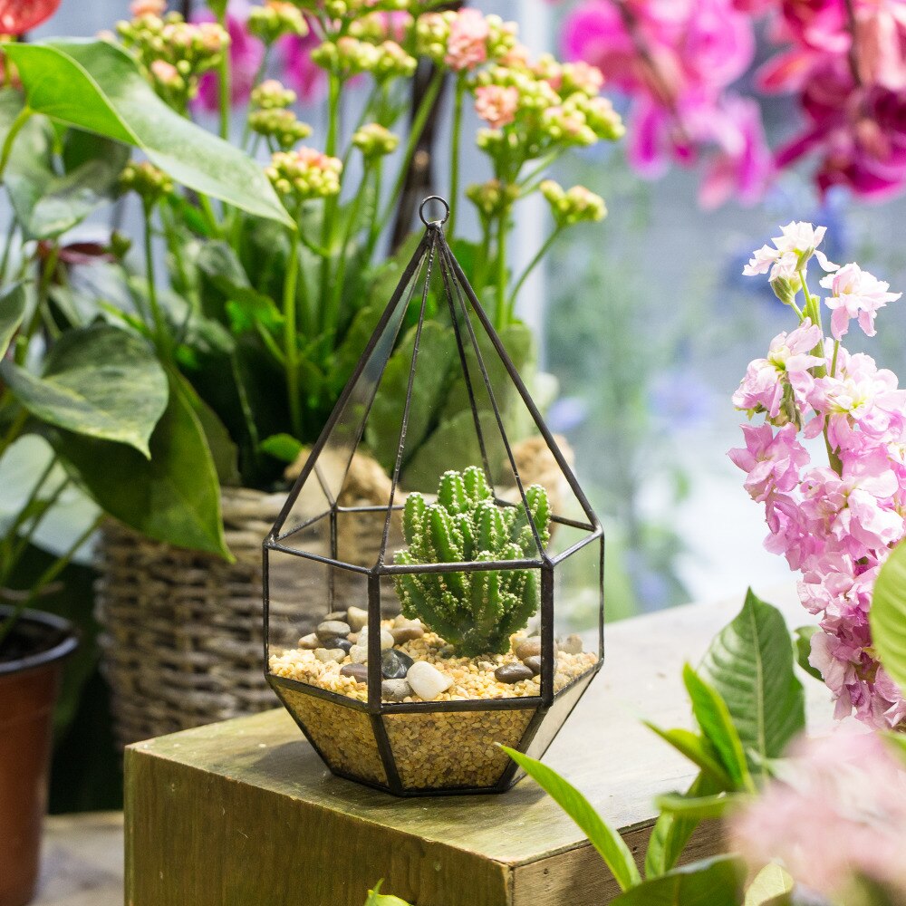 Handmade Hanging Six-surface with 3 Spaced Opening Glass Geometric Terrarium for Succulent Cacti - NCYPgarden