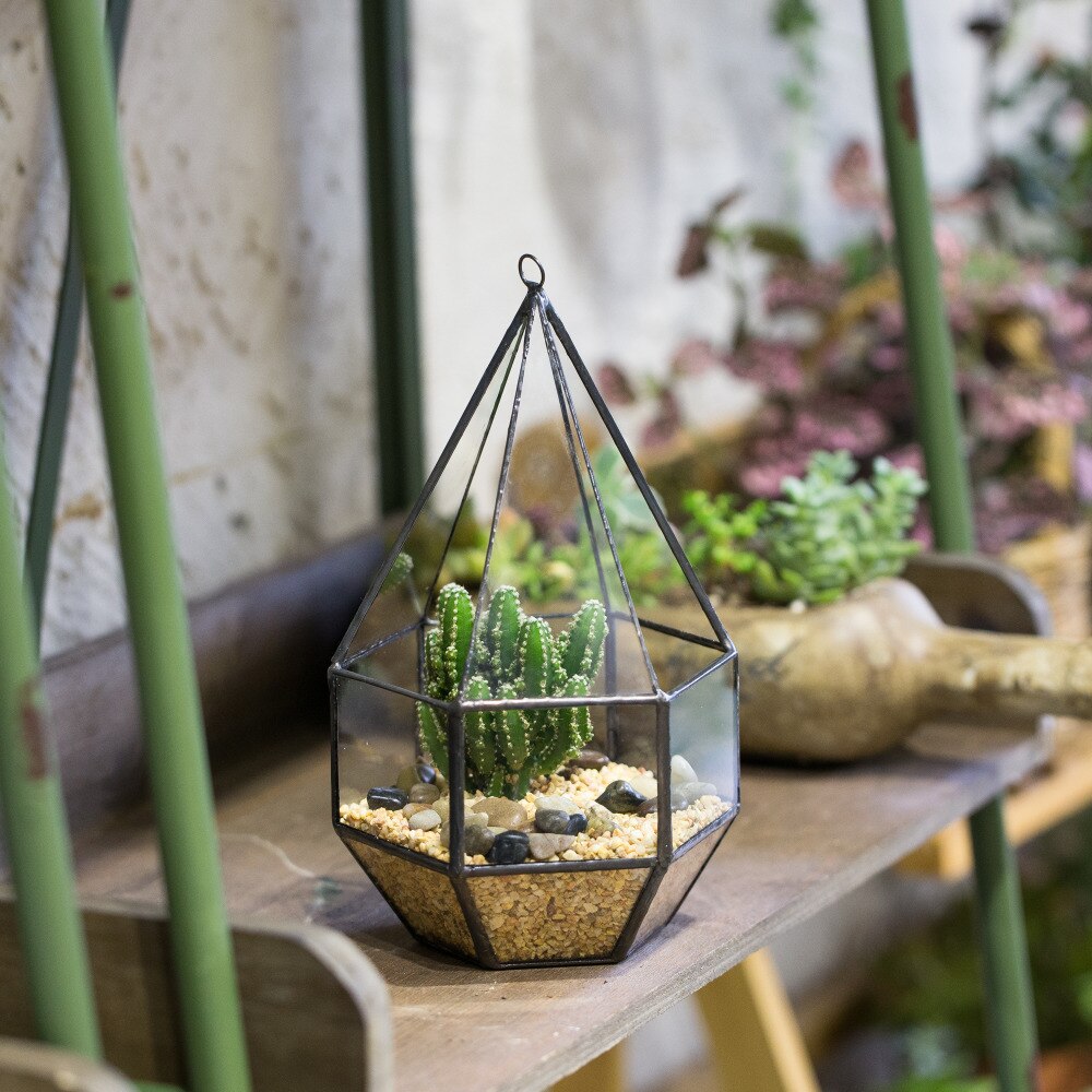 Handmade Hanging Six-surface with 3 Spaced Opening Glass Geometric Terrarium for Succulent Cacti - NCYPgarden