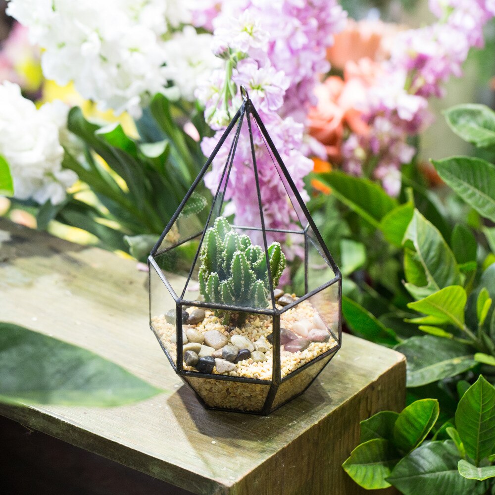 Handmade Hanging Six-surface with 3 Spaced Opening Glass Geometric Terrarium for Succulent Cacti - NCYPgarden