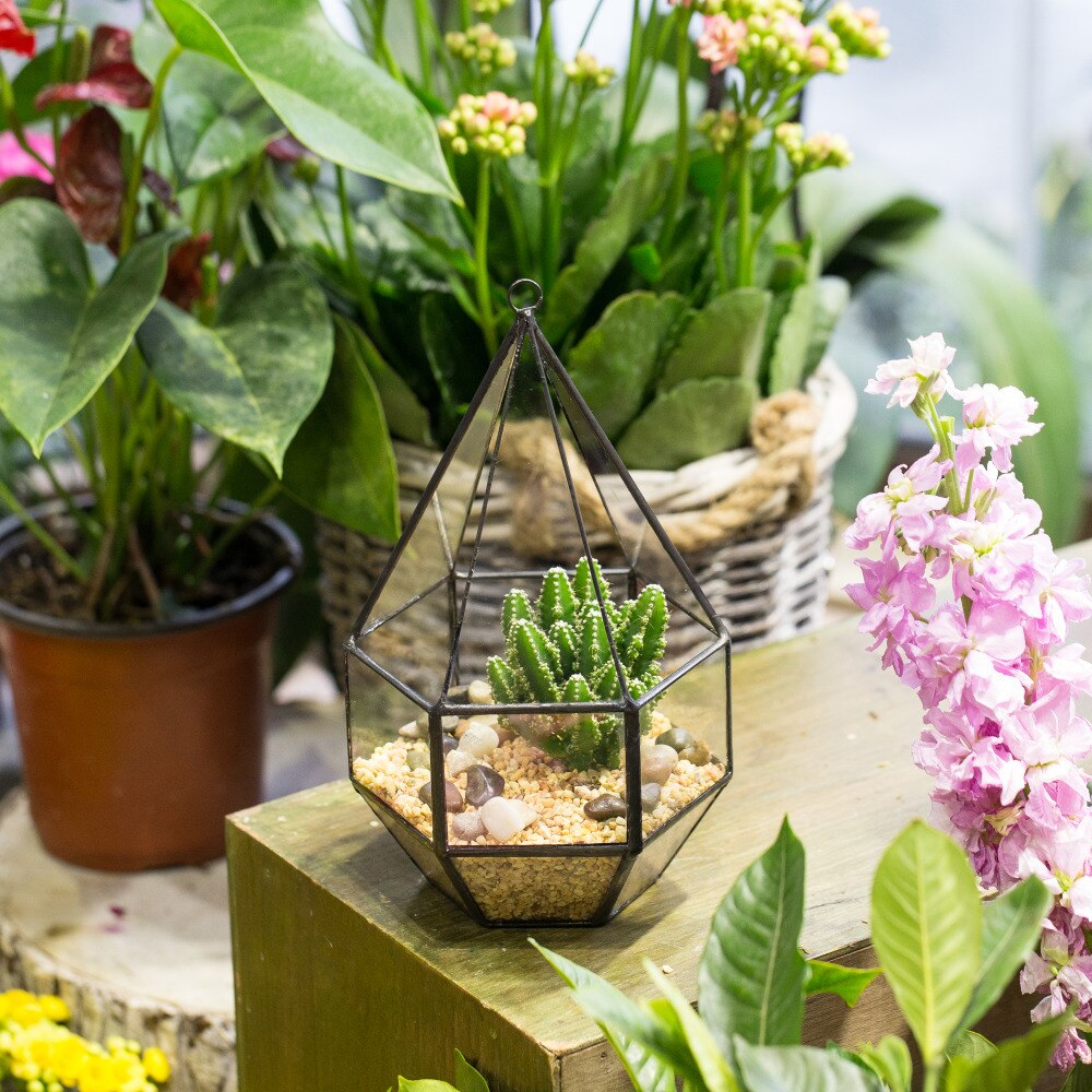 Handmade Hanging Six-surface with 3 Spaced Opening Glass Geometric Terrarium for Succulent Cacti - NCYPgarden