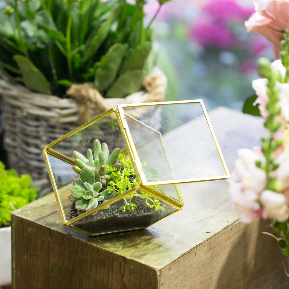 Handmade Gold Black Inclined Cube Style Glass BoxGeometric Terrarium with Door for Home  Wedding - NCYPgarden