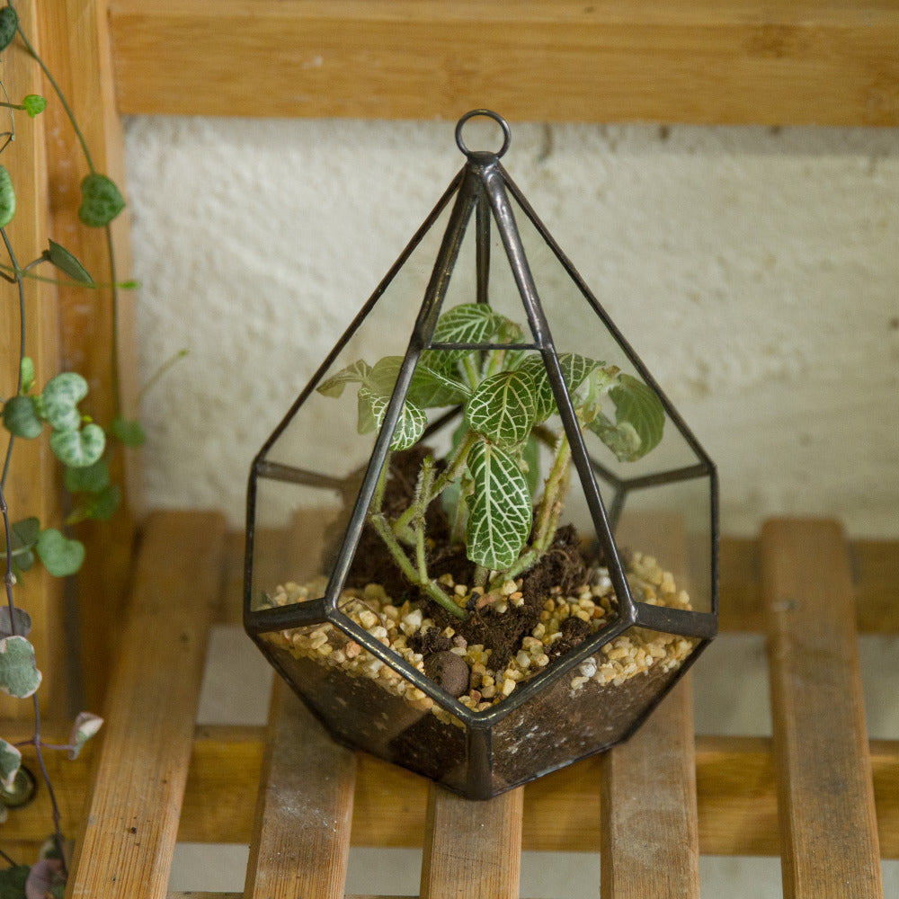 Handmade Artistic Hanging Glass Teardrop Diamond Geometric Terrarium with Loop for Succulent Moss - NCYPgarden