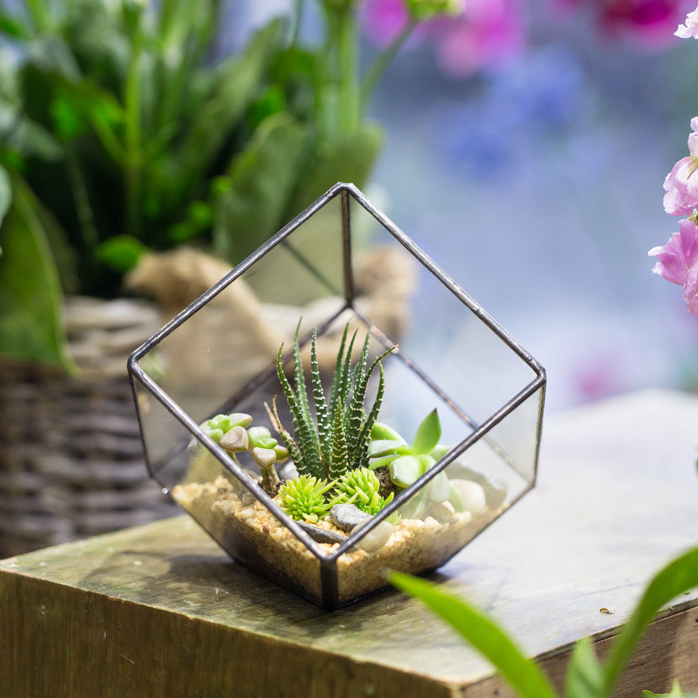 Handmade 10cm Inclined Cube Vase Glass Geometric Terrarium Tabletop Flowerpot for Garden Succulents - NCYPgarden