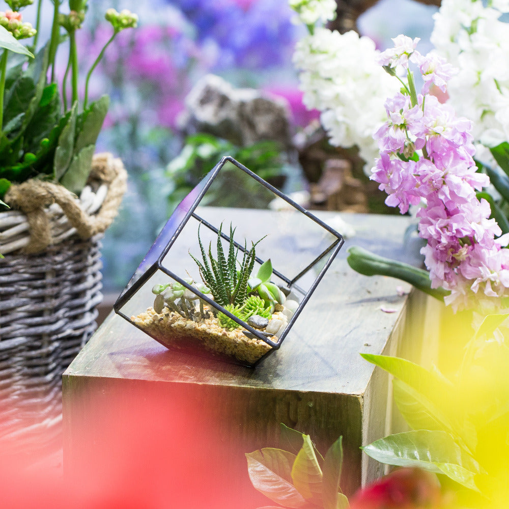 Handmade 10cm Inclined Cube Vase Glass Geometric Terrarium Tabletop Flowerpot for Garden Succulents - NCYPgarden