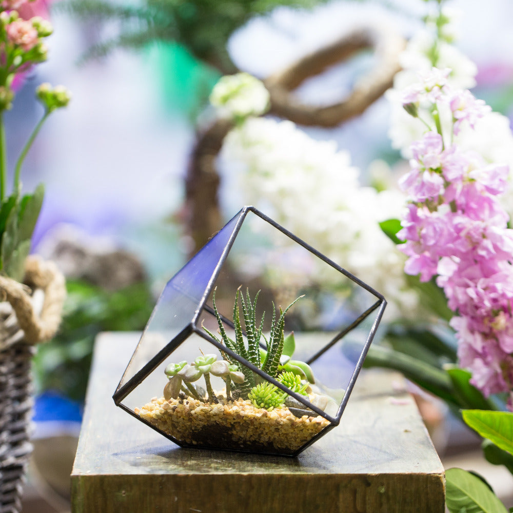 Handmade 10cm Inclined Cube Vase Glass Geometric Terrarium Tabletop Flowerpot for Garden Succulents - NCYPgarden