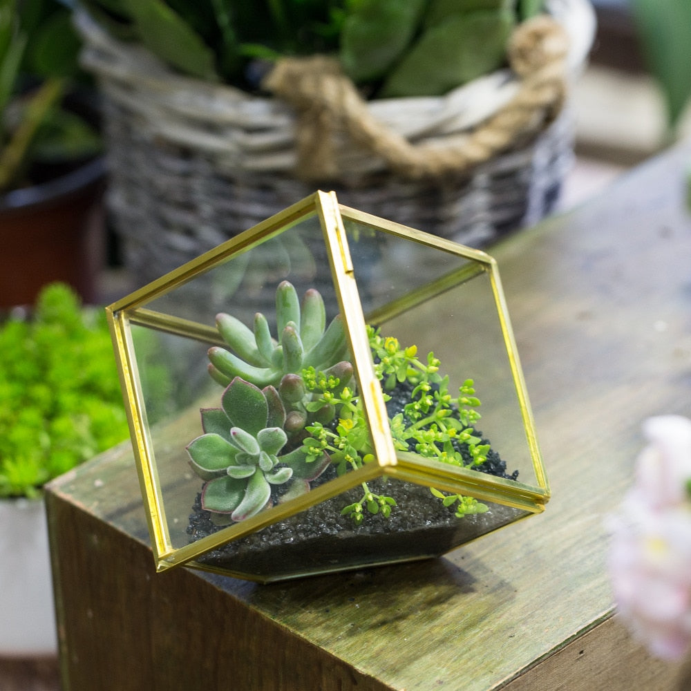 Handmade Gold Black Inclined Cube Style Glass BoxGeometric Terrarium with Door for Home  Wedding - NCYPgarden