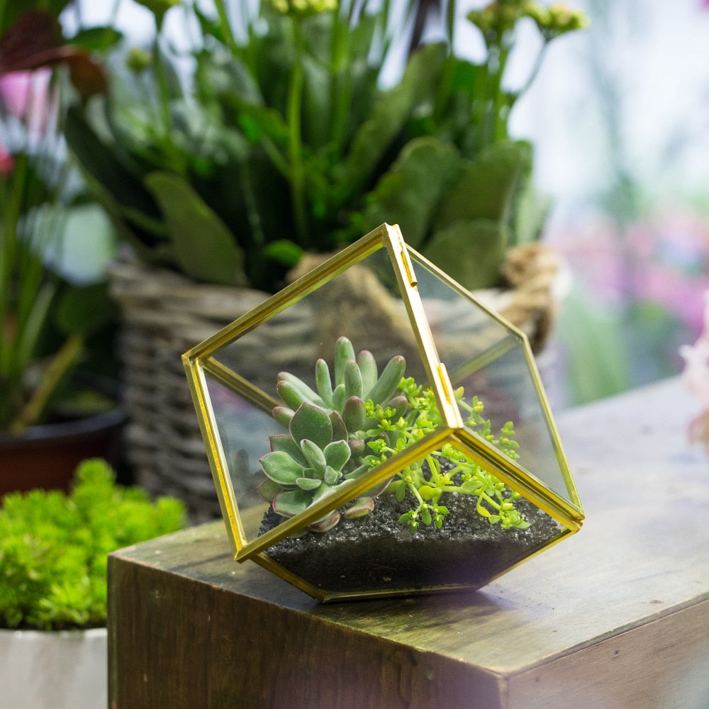 Handmade Gold Black Inclined Cube Style Glass BoxGeometric Terrarium with Door for Home  Wedding - NCYPgarden