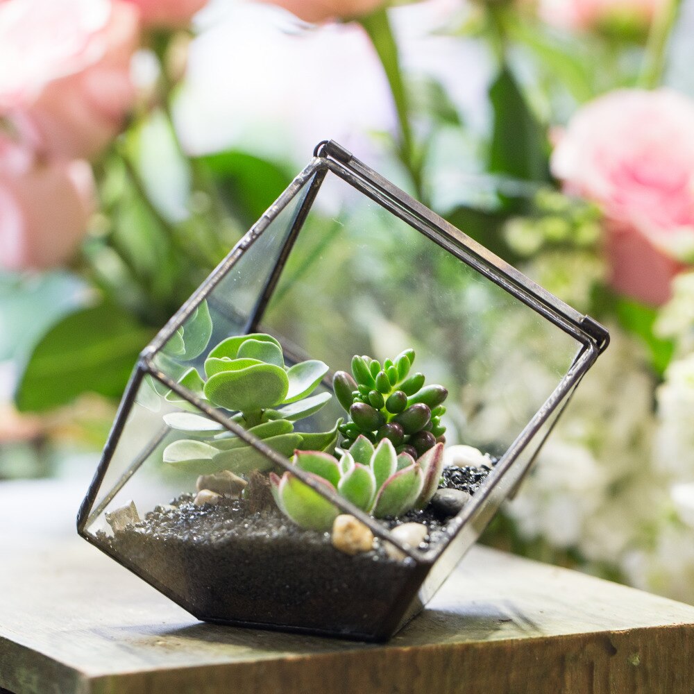 Handmade Gold Black Inclined Cube Style Glass BoxGeometric Terrarium with Door for Home  Wedding - NCYPgarden