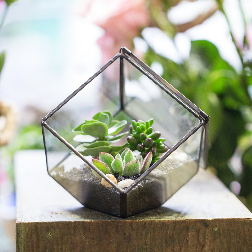 Handmade Gold Black Inclined Cube Style Glass BoxGeometric Terrarium with Door for Home  Wedding - NCYPgarden