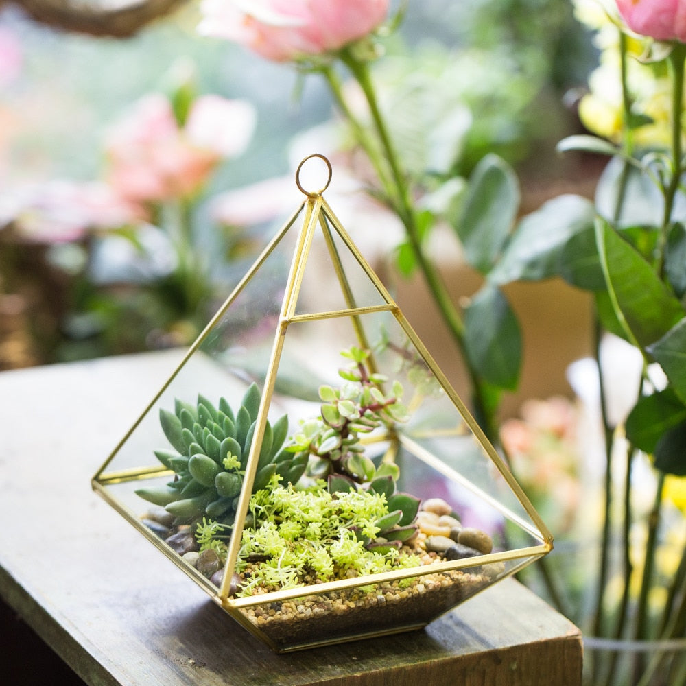 Handmade Gold Hanging Glass Geometric Terrarium Planter for Succulent Wedding Decoration - NCYPgarden