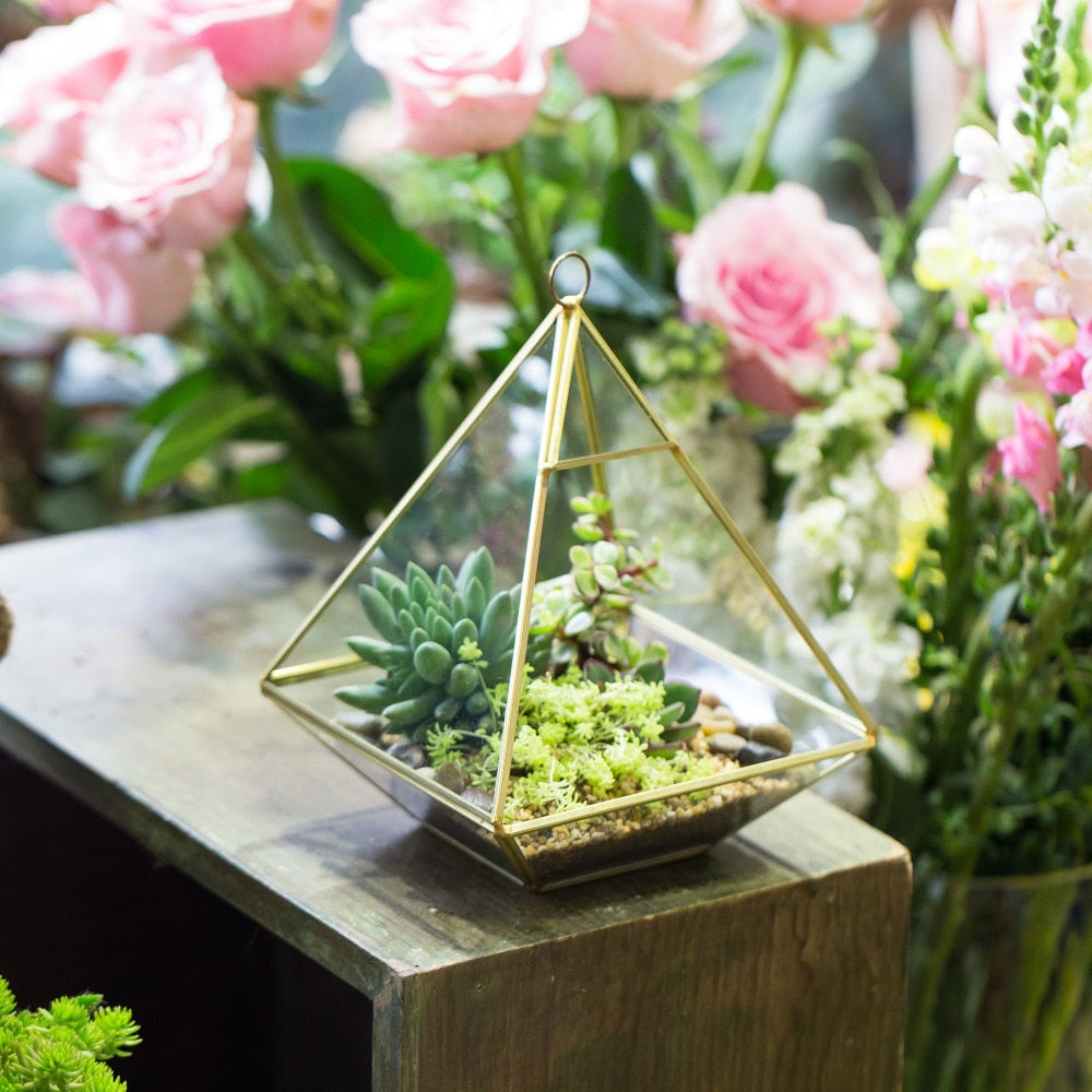 Handmade Gold Hanging Glass Geometric Terrarium Planter for Succulent Wedding Decoration - NCYPgarden