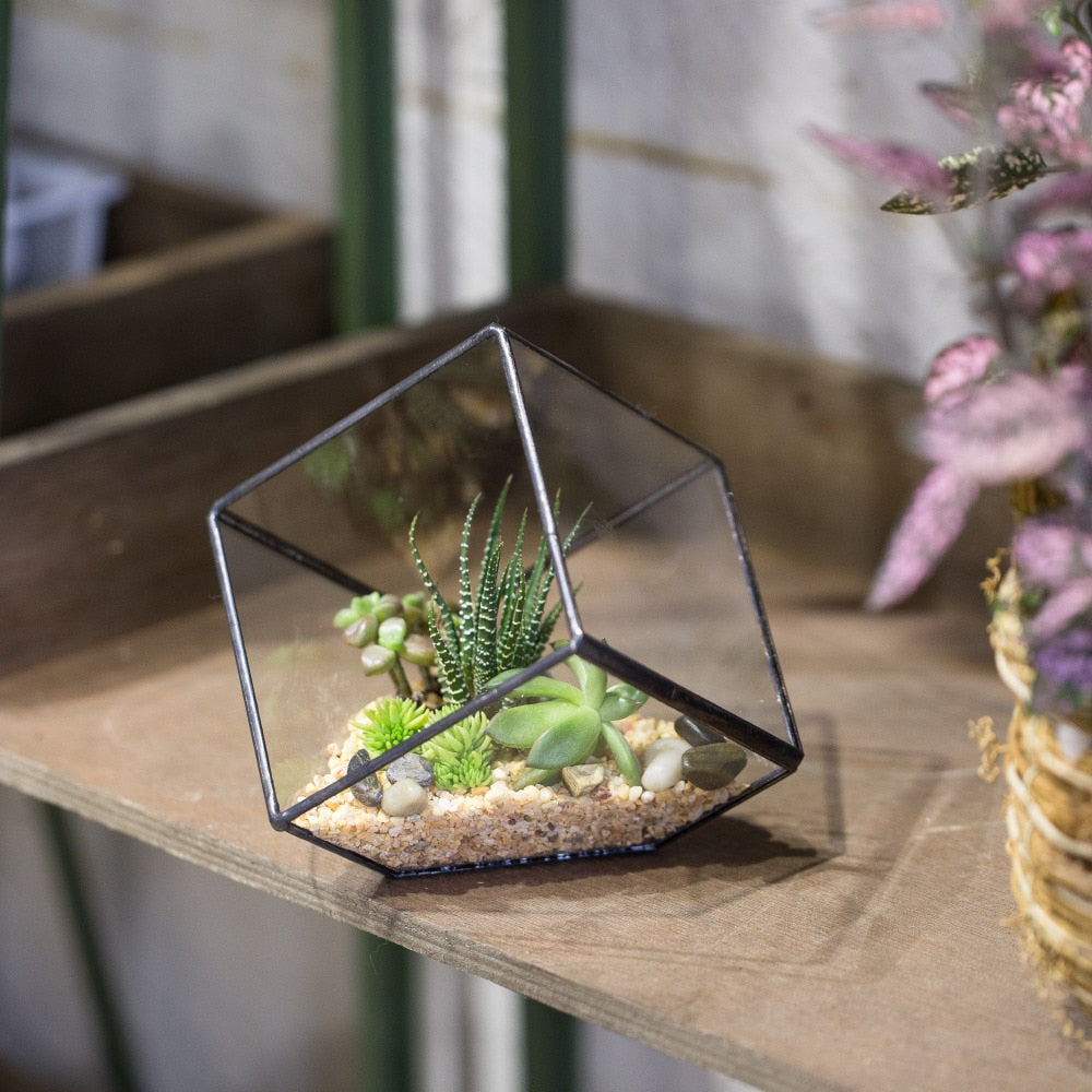 Handmade 10cm Inclined Cube Vase Glass Geometric Terrarium Tabletop Flowerpot for Garden Succulents - NCYPgarden