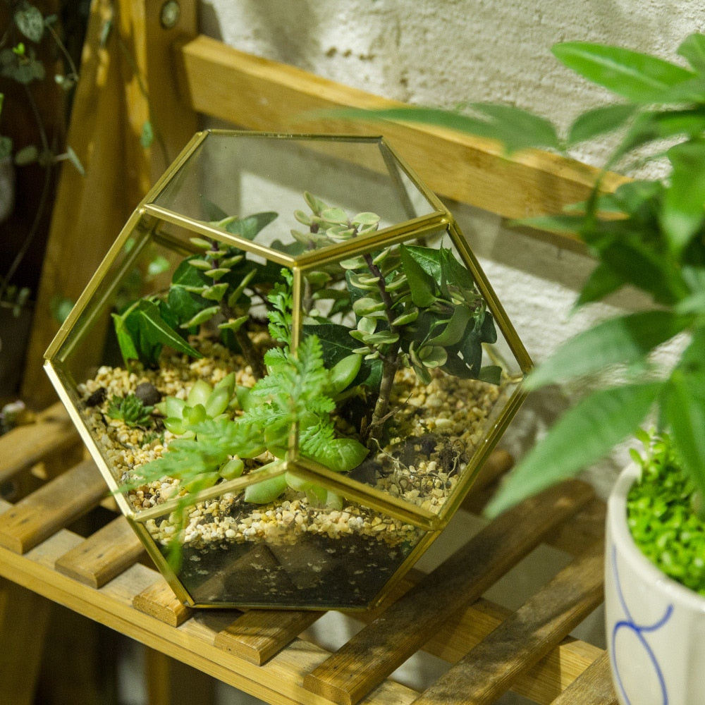 Handmade Gold Pentagon Geometric Glass Terrarium for Succulent Moss Airplants Wedding - NCYPgarden