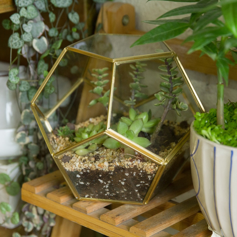 Handmade Gold Pentagon Geometric Glass Terrarium for Succulent Moss Airplants Wedding - NCYPgarden