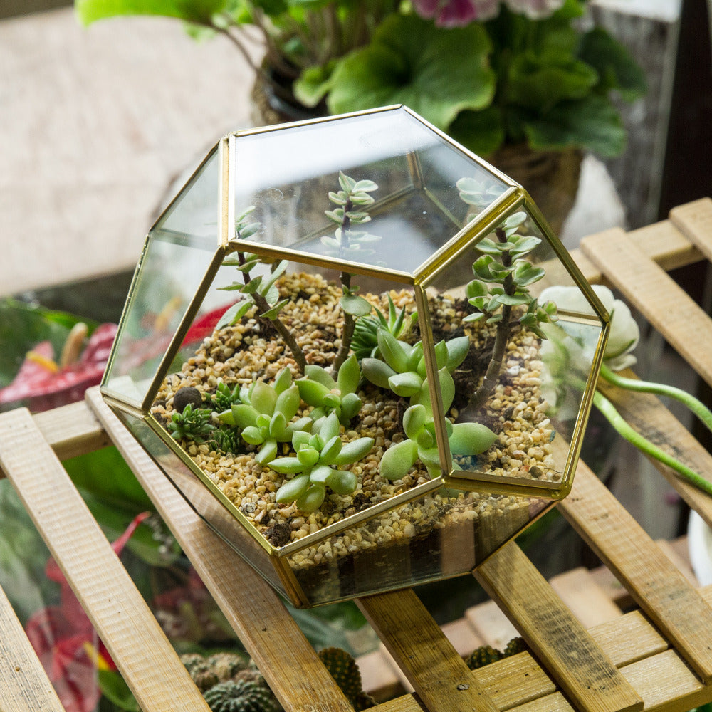 Handmade Gold Pentagon Geometric Glass Terrarium for Succulent Moss Airplants Wedding - NCYPgarden