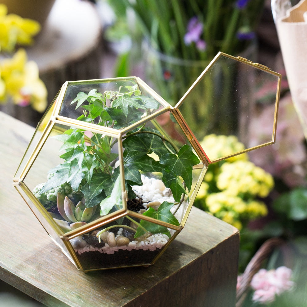 Handmade Gold Ball Shape Glass Geometric Terrarium with Feet Door for Succulent Plants Moss - NCYPgarden