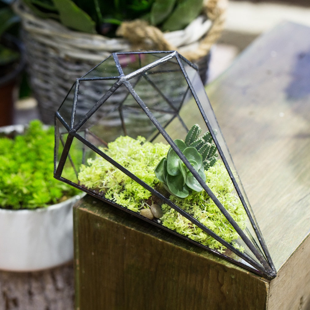 Handmade Long Diamond Glass Geometric Terrarium for Succulent Airplants Cacti Moss - NCYPgarden