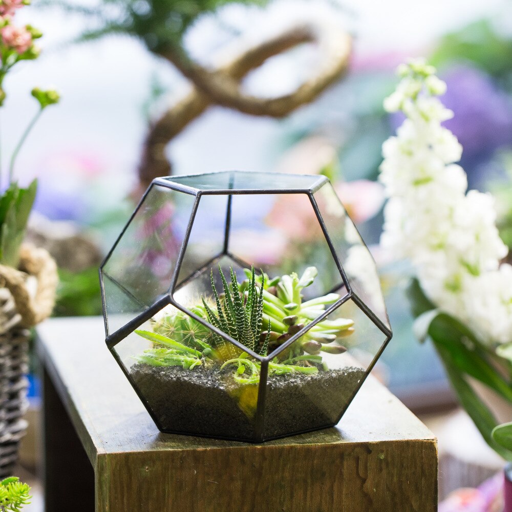 Handmade Tabletop Polyhedron Glass Geometric Terrarium for Succulent Fern Moss Air Plant - NCYPgarden