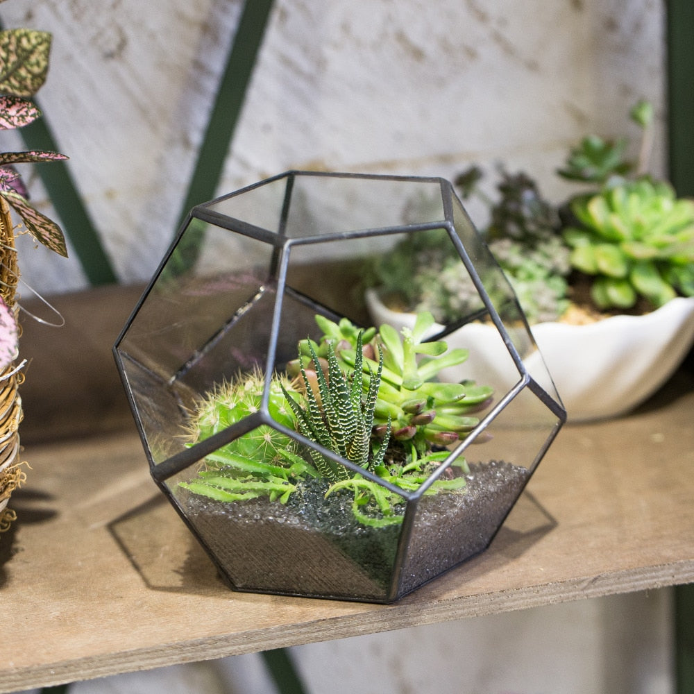 Handmade Tabletop Polyhedron Glass Geometric Terrarium for Succulent Fern Moss Air Plant - NCYPgarden