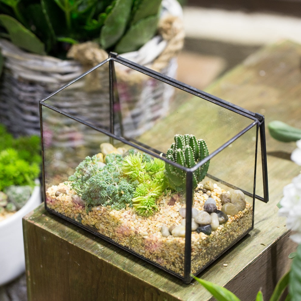 Glass Terrarium - Luckyslife Succulent Geometric Glass Terrarium high quality - Terrarium Container