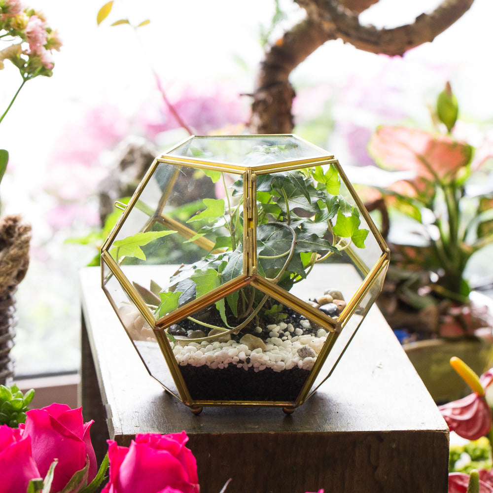 Handmade Gold Ball Shape Glass Geometric Terrarium with Feet Door for Succulent Plants Moss - NCYPgarden