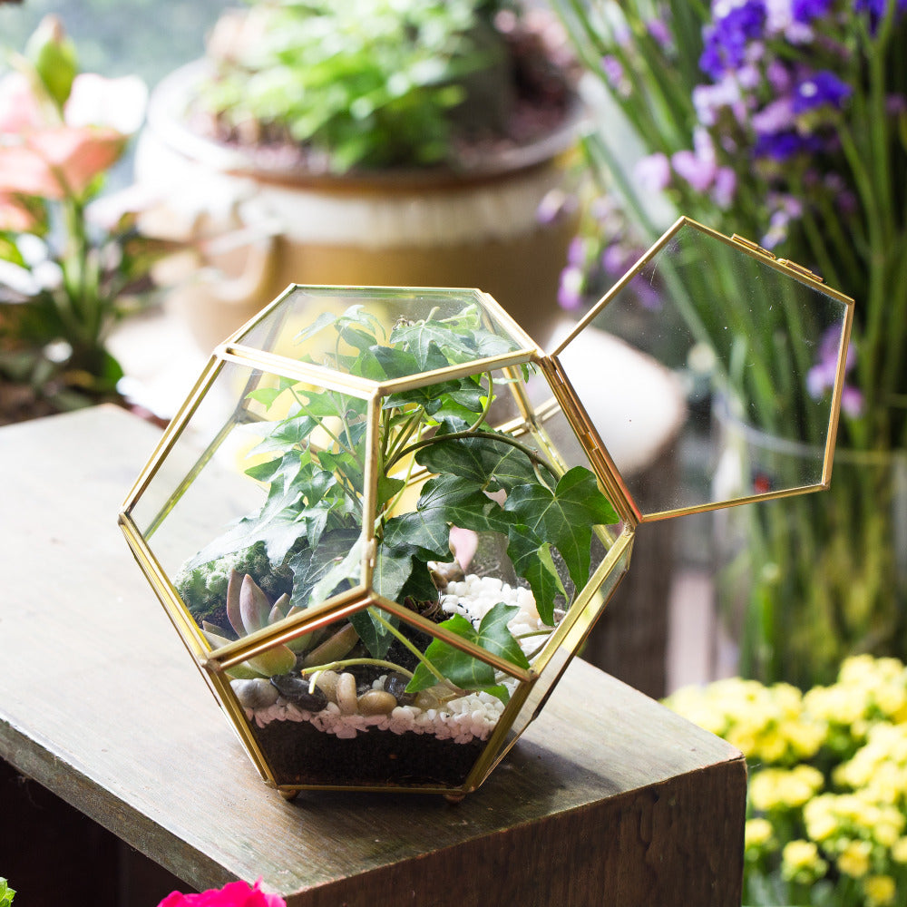 Handmade Gold Ball Shape Glass Geometric Terrarium with Feet Door for Succulent Plants Moss - NCYPgarden