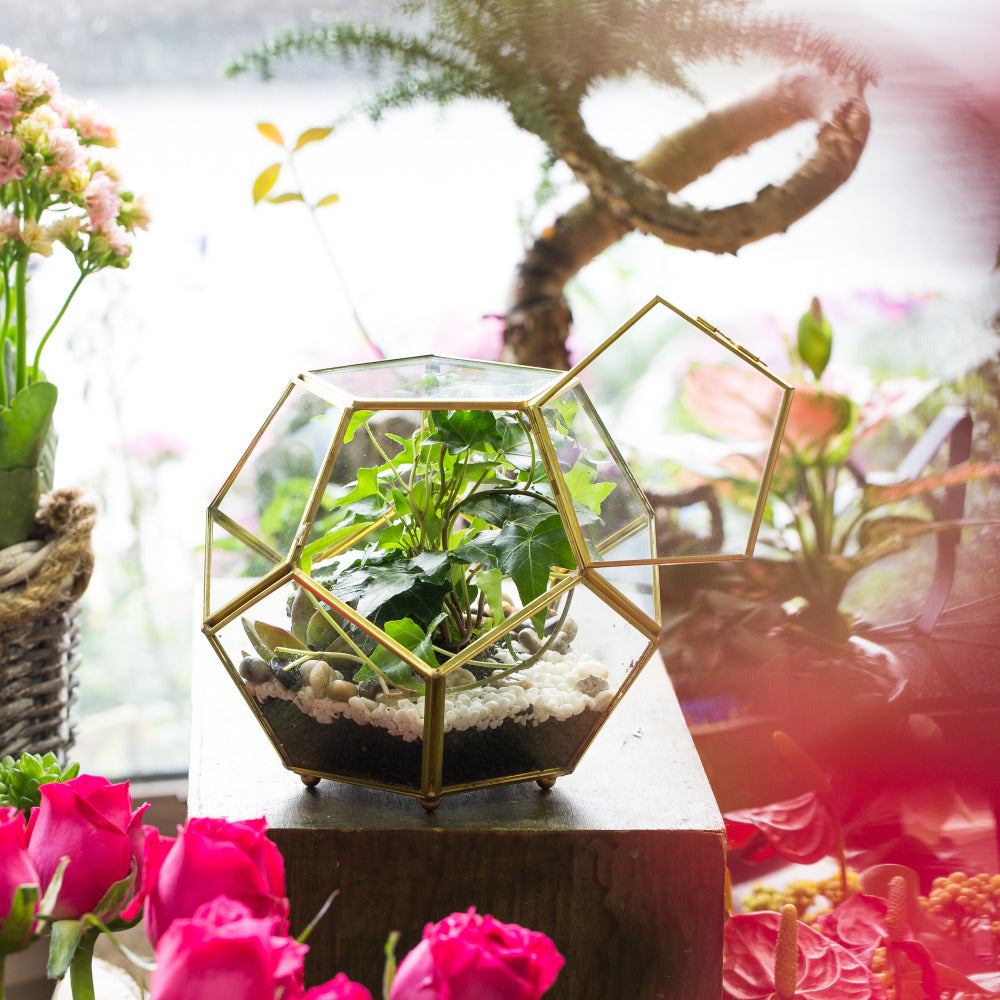 Handmade Gold Ball Shape Glass Geometric Terrarium with Feet Door for Succulent Plants Moss - NCYPgarden