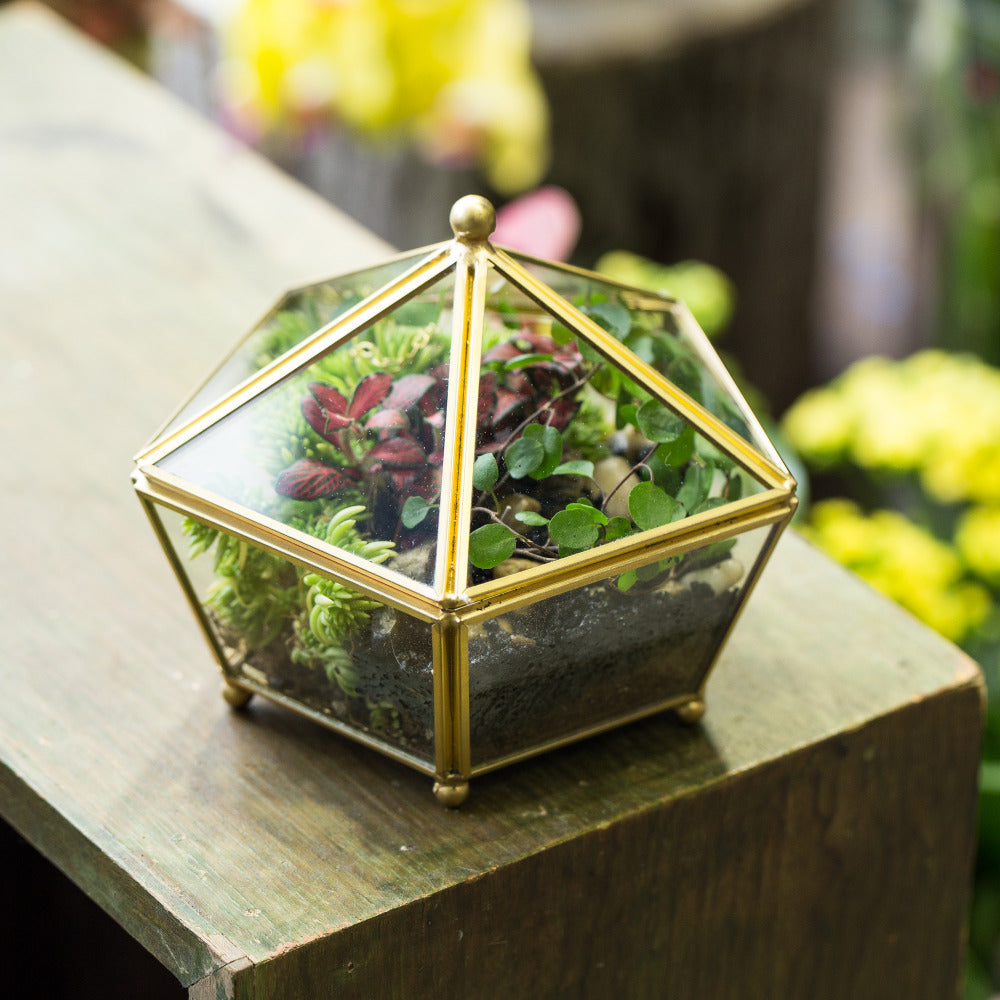 Handmade Gold Artistic Tabletop Glass Geometric Terrarium Jewel-boxed Shape with Lid for Succulent - NCYPgarden